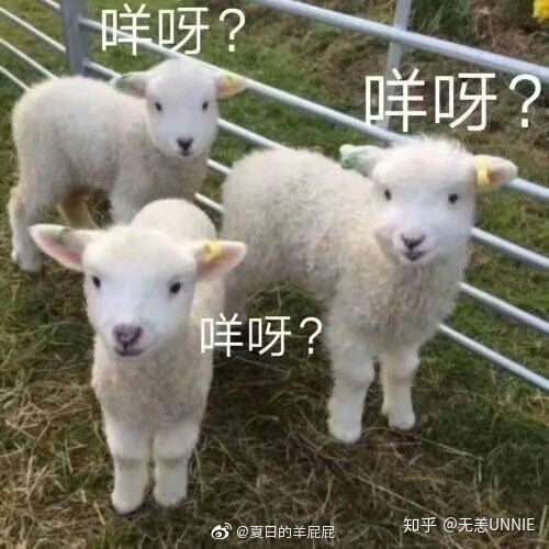  你知道的颜值高的配音演员有谁