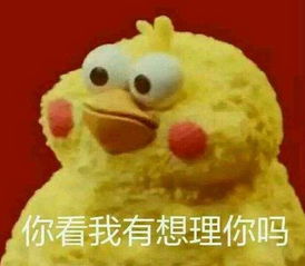  一人一句话,自黑你的家乡,看到最后笑喷了,东营人你中枪了吗