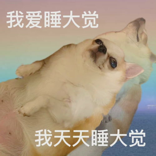  慢慢21.酒局入职hx集团先婚后爱追妻
