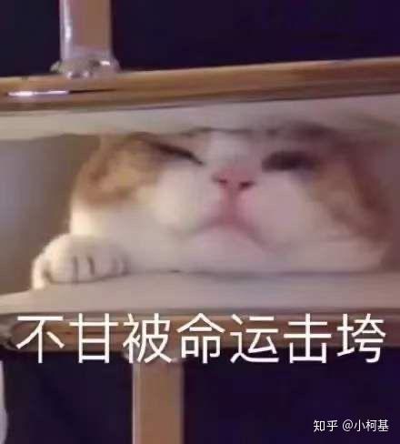  瞳代私自抬价属于违规吗