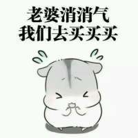  小松鼠老婆表情包