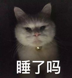  微信qq斗图表情包搞笑表情包