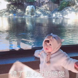 跟网友聊天怎么能少表情包呢来来,赶紧存两张