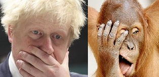  英报拿伦敦市长开涮他多像只红毛猩猩