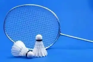 球技羽毛球实战对策,如何打赢一场陌生的比赛 球技羽毛球实战对策,如何打赢一场陌生的比赛