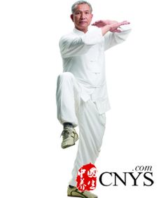  太极拳养生详解武当太极拳28式手法