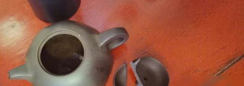 袁弘晒一家三口游泳合照,背儿子与张歆艺水中亲吻,四砣表情萌爆 袁弘晒一家三口游泳合照,背儿子与张歆艺水中亲吻,四砣表情萌爆