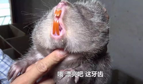  最怕兄弟突然的赞美你好漂亮啊搜狐文化搜狐网
