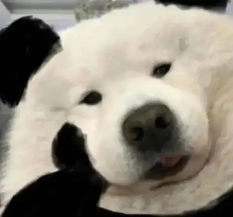 林永健牛头梗表情包抖音