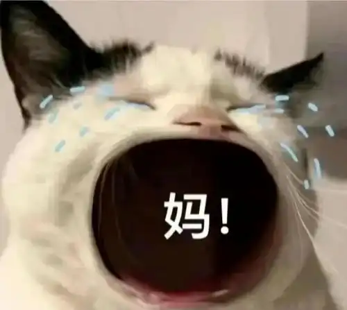 高考后我们失去的东西 高考后我们失去的东西