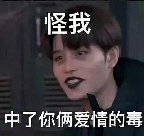  磕cp表情包