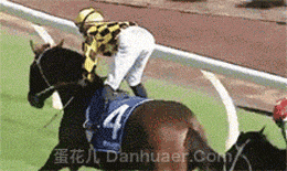 爆笑最强里约奥运爆笑出糗合辑年度最佳的表情包都在这露股一飞冲天被x小弟弟 爆笑最强里约奥运爆笑出糗合辑年度最佳的表情包都在这露股一飞冲天被x小弟弟