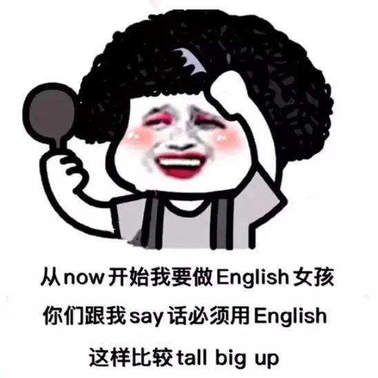  沙雕聊天表情包