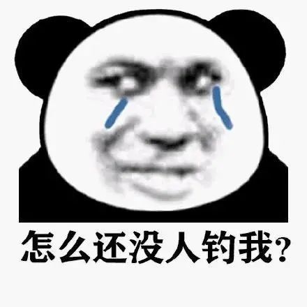  5.28抖音热门系列表情包