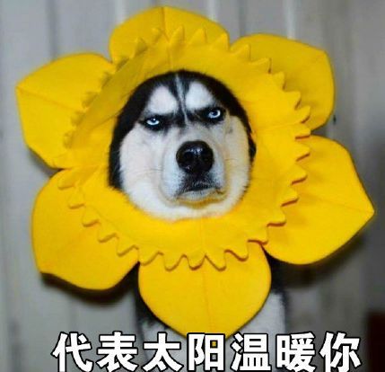  原来在泰国拍婚纱照,能玩出这么多花样