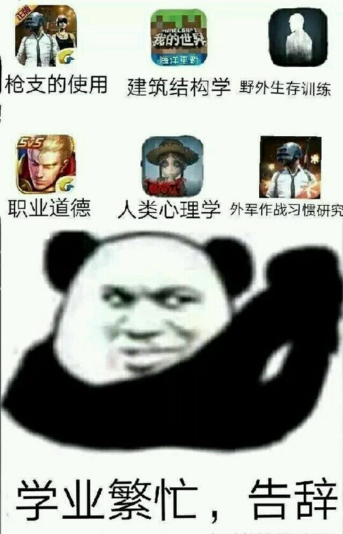  安冰西瓜视频中的沙雕表情包第五向