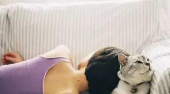  男子回家后,竟看见老婆枕着猫咪睡着了,再一看猫的表情立刻笑喷