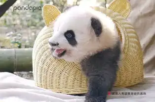  我一见你就笑,你那憨憨表情太美妙