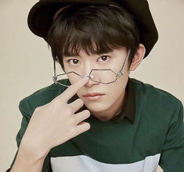  华语歌手榜范丞丞陈立农差蔡徐坤太多了鹿晗又没比过tfboys