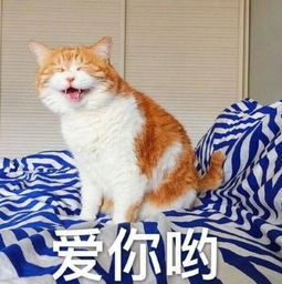 设计费十年不涨,建筑这个行业还能继续走下去吗