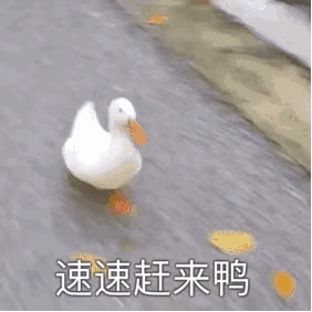  犬夜叉出续作动画宋仲基金泰梨新片胜利号定档