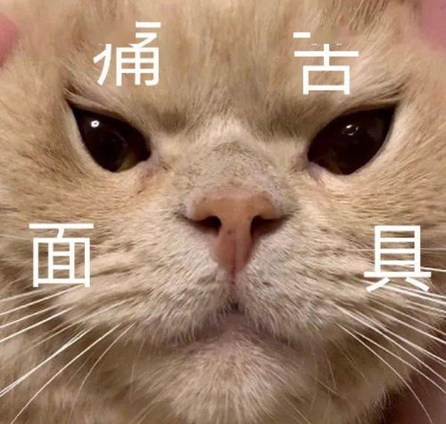  表情包