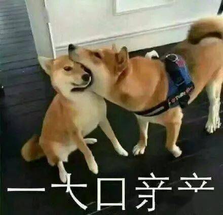  遇见,不负遇见再见,一定要再见