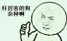  东方赢家手机炒股软件下载2023已更新今日知乎青年报