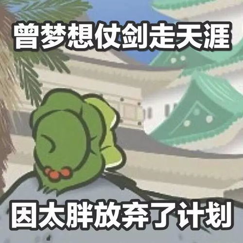  蛙儿子同款,新品上线,新品买一送一