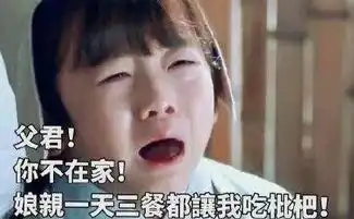 夜华表情包终极
