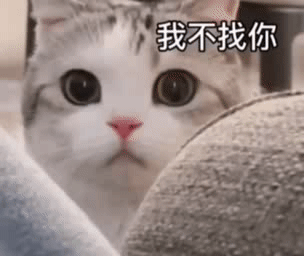 可爱沙雕表情包宝,再不理我的话,我的腰上就是其他男人的手了 可爱沙雕表情包宝,再不理我的话,我的腰上就是其他男人的手了