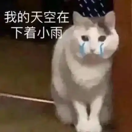 表情包委屈小猫头 表情包委屈小猫头