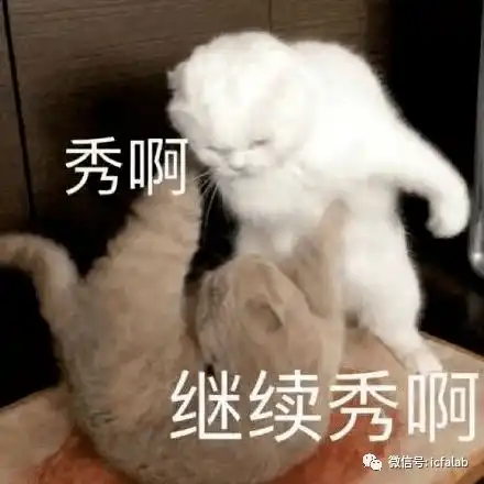 一个亿的融资在一家芯片初创公司可以烧多久二 一个亿的融资在一家芯片初创公司可以烧多久二