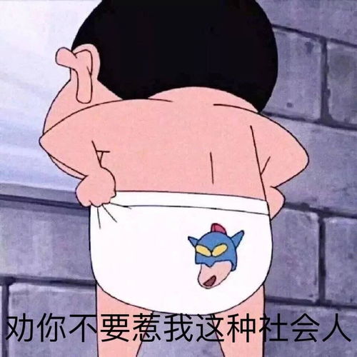 单身狗日记40