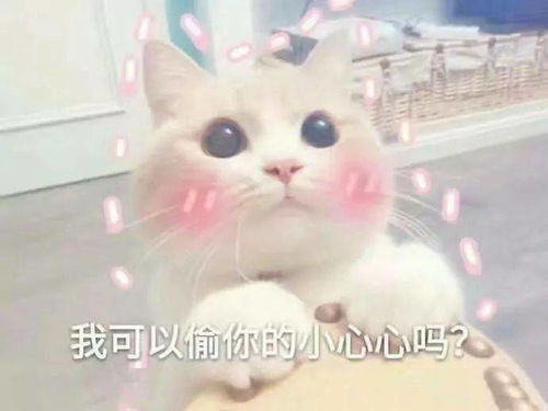  年纪轻轻,傻成这样
