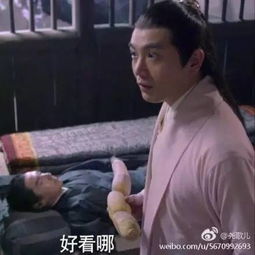  三生三世大结局这里有三生豪华表情包买夜华假发素素白绫的朋友是要干嘛