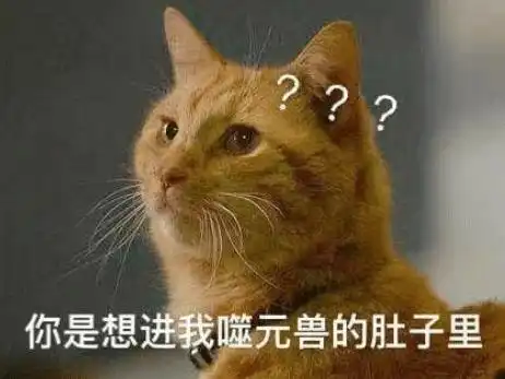 猫咪那么可爱,为啥有些人会讨厌喵星人呢 猫咪那么可爱,为啥有些人会讨厌喵星人呢