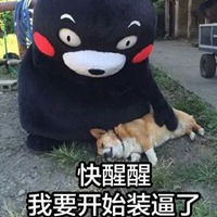  微信熊本熊表情包