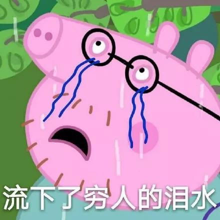 在南阳,像小猪佩奇一样活着需要多少钱 在南阳,像小猪佩奇一样活着需要多少钱