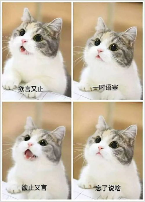  想知道大家最近在单曲循环的歌