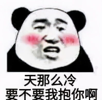  熊猫头表情包我的家庭条件根本支持不了我过冬