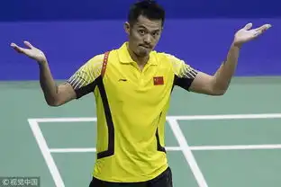 香港赛林丹表情包新浪图片 香港赛林丹表情包新浪图片