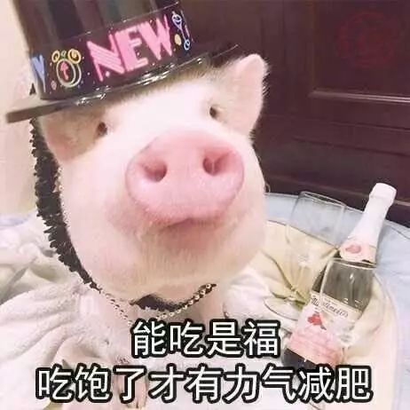  表情包能吃是福,吃饱了才有力气减肥