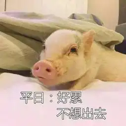  为什么每天都不想出门一起来感受下