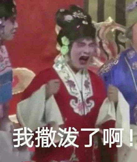  郭麒麟版崔莺莺表情包图片合集