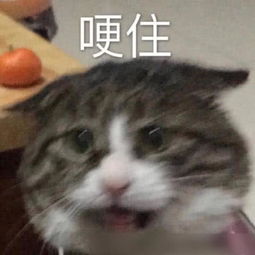  软妹怼人专用表情包,好生气但还是要保持可爱,敲里奶奶
