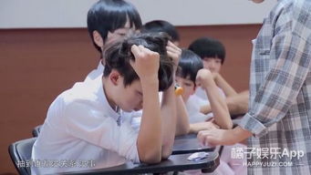  tf家族综艺首秀天天向上这5个锅盖头都什么来头