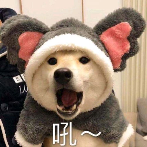 秀恩爱虐狗表情包含蓄
