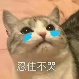  杜海涛崩溃大哭跟你撒娇的男孩,一定很爱你
