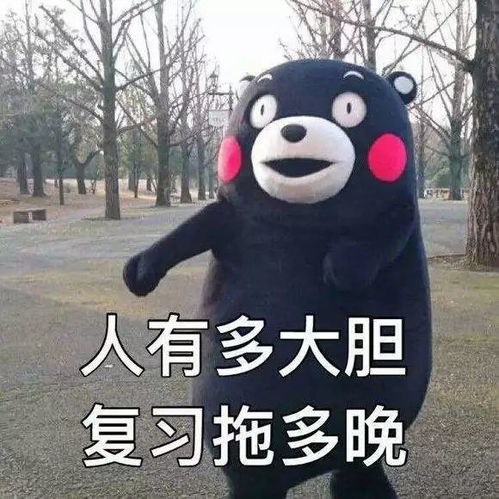  上外学子回家时长表我将在火车上目睹两次日出